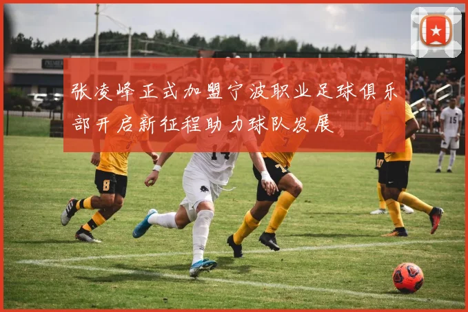张凌峰正式加盟宁波职业足球俱乐部开启新征程助力球队发展